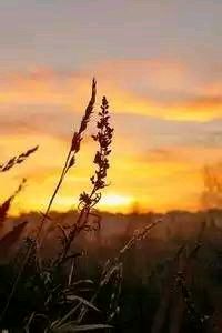 独行侠客场力挑快船，主教练针对对手发起总攻击