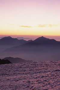 国内篮球职业赛场竞技激烈，球员个人能力备受关注
