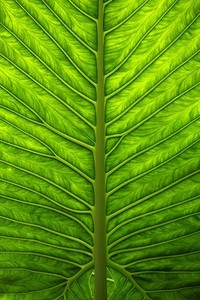 篮球比赛：激烈较量引发球迷热议